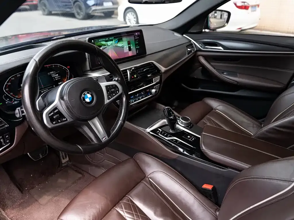 BMW 5 Series (Import) 2021 из CN, фото 9