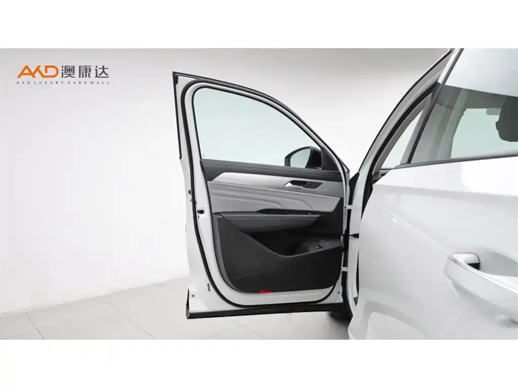 Volkswagen Tavendor 2024 из CN, фото 5