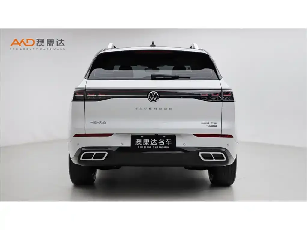 Volkswagen Tavendor 2024 из CN, фото 2