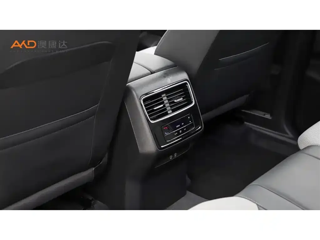 Volkswagen Tavendor 2024 из CN, фото 10