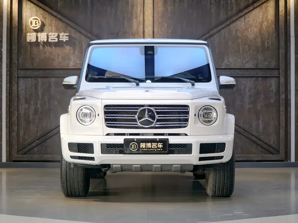 Mercedes-Benz G-Class — фото 8