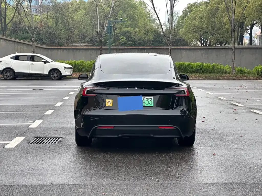Tesla Model 3 2024 из CN, фото 7