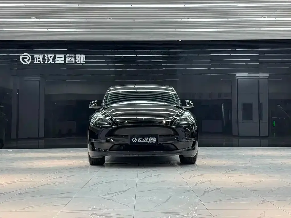 Tesla Model Y — фото 9