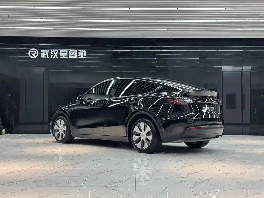 Tesla Model Y — фото 8