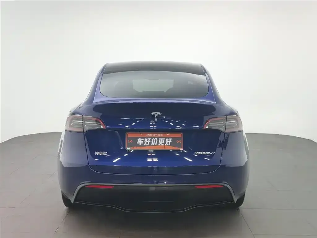 Tesla Model Y — фото 2