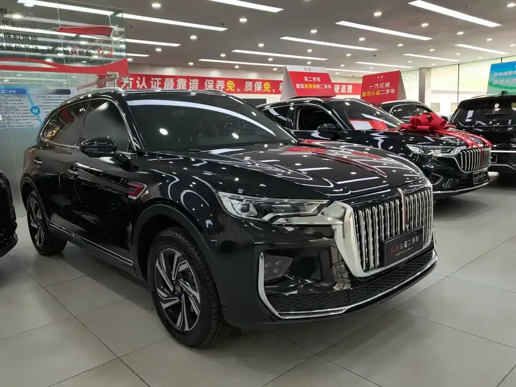 Hongqi HS5 2023 из CN, фото 10
