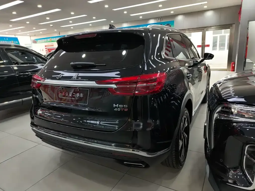 Hongqi HS5 2023 из CN, фото 7