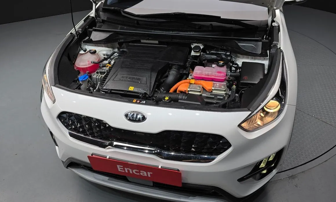 Kia Niro 2021 из KR, фото 10