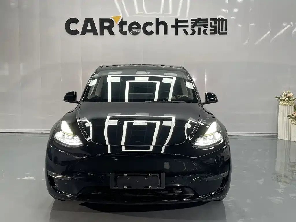 Tesla Model Y — фото 8