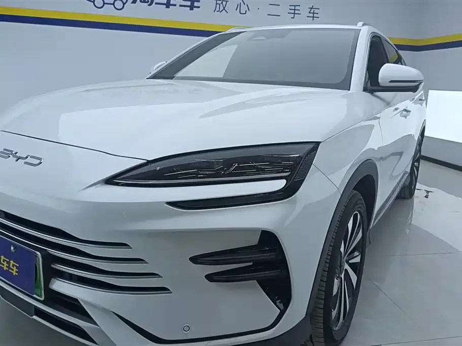 BYD PLUS New Energy — фото 4