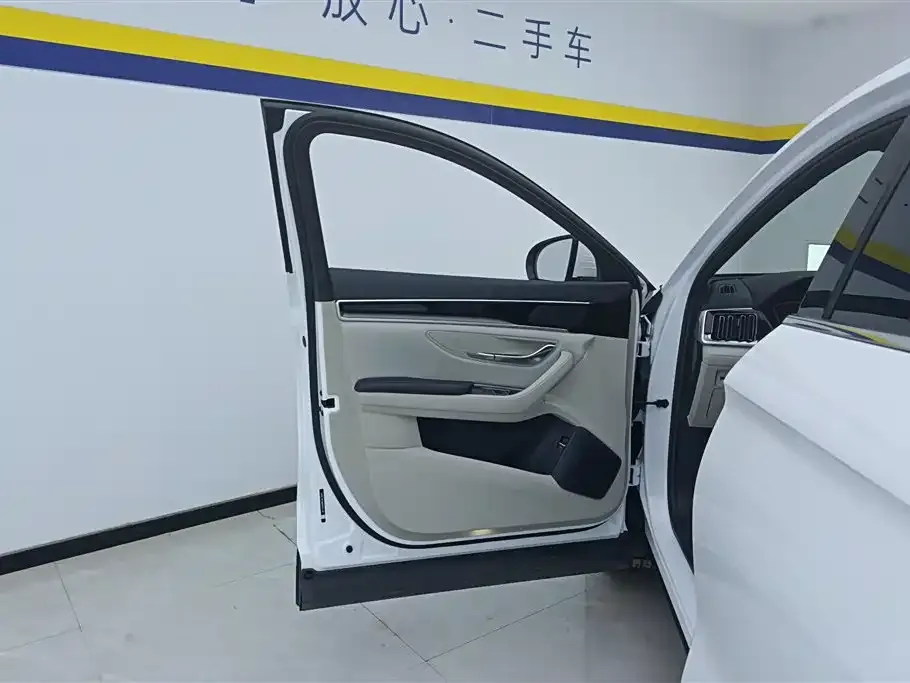 BYD PLUS New Energy — фото 9