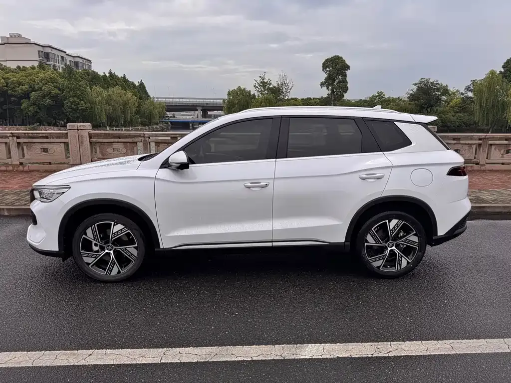BYD Pro New Energy — фото 7