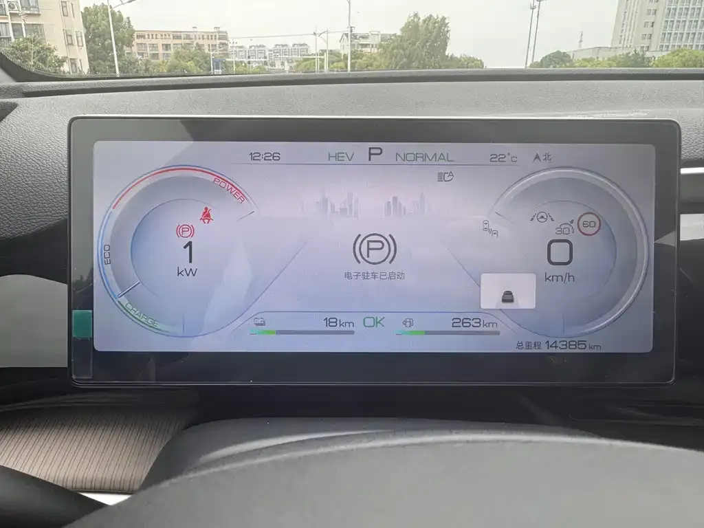 BYD Pro New Energy — фото 4