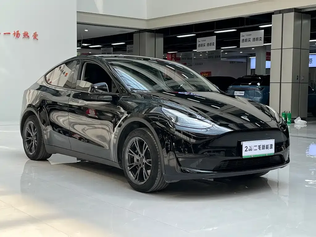 Tesla Model Y — фото 3