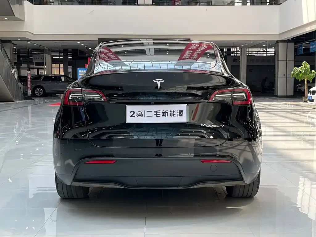 Tesla Model Y — фото 10