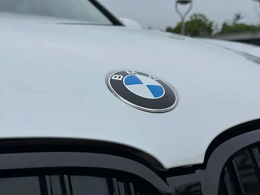 BMW X1 — фото 4