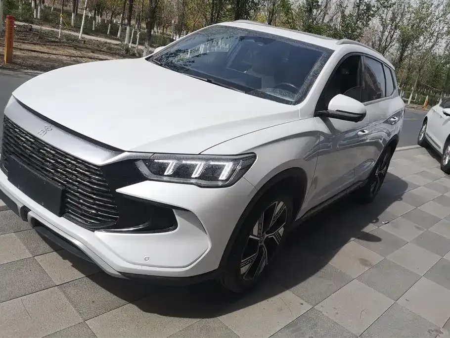 BYD Pro New Energy — фото 1