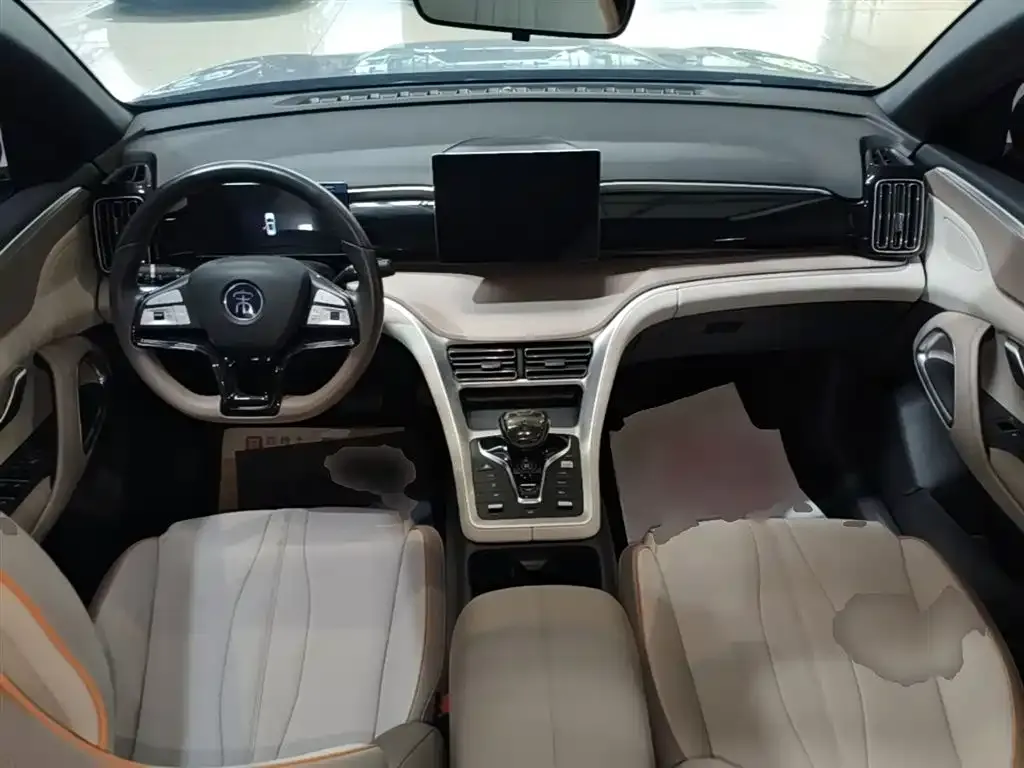 BYD Pro New Energy 2024 из CN, фото 2