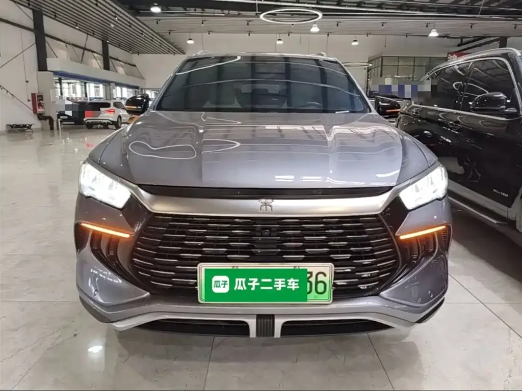 BYD Pro New Energy 2024 из CN, фото 8