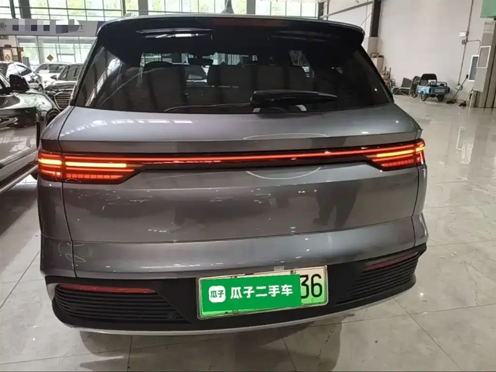 BYD Pro New Energy 2024 из CN, фото 9