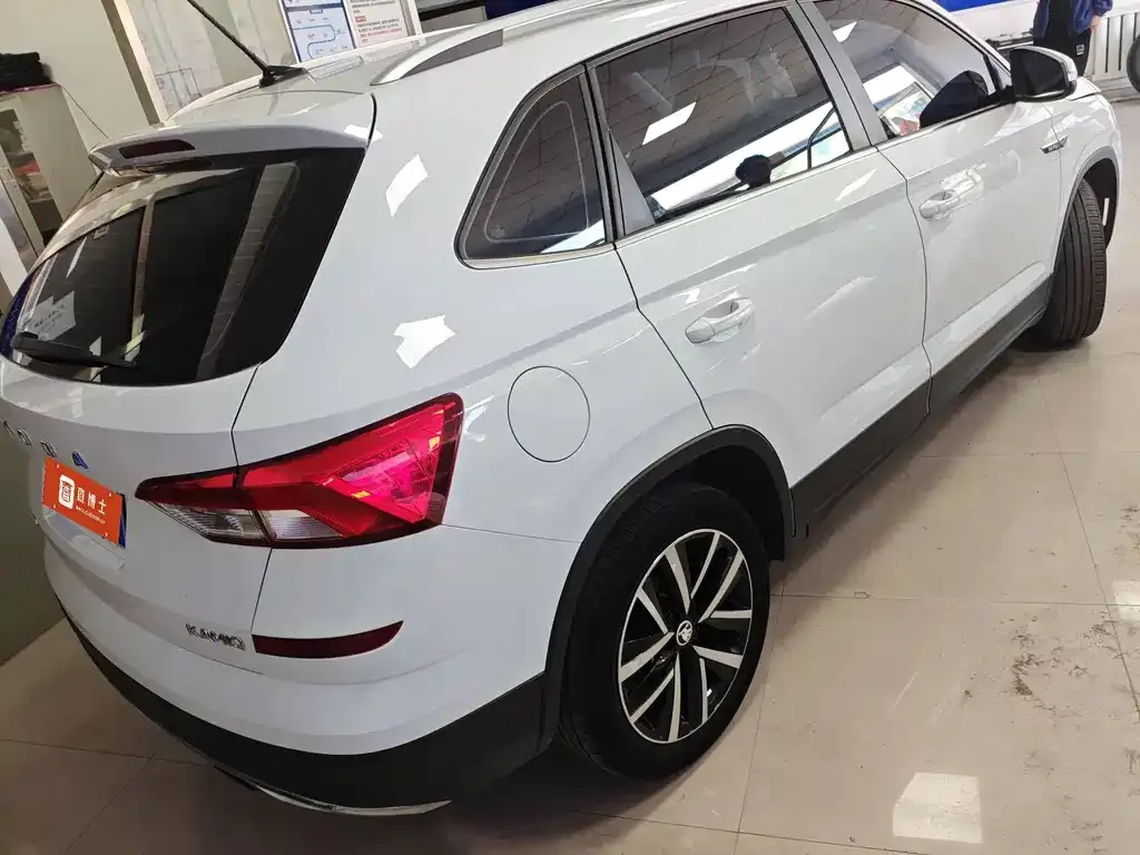 Skoda Kamiq 2023 из CN, фото 8