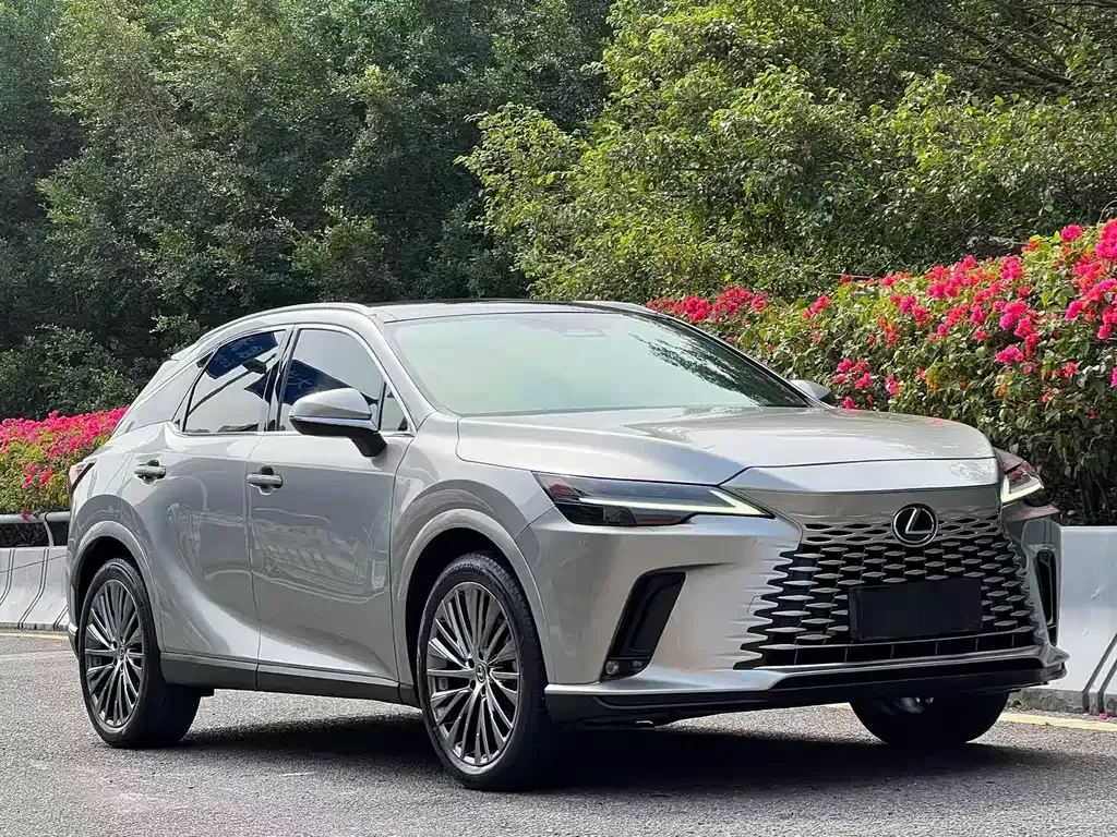 Lexus RX — фото 10