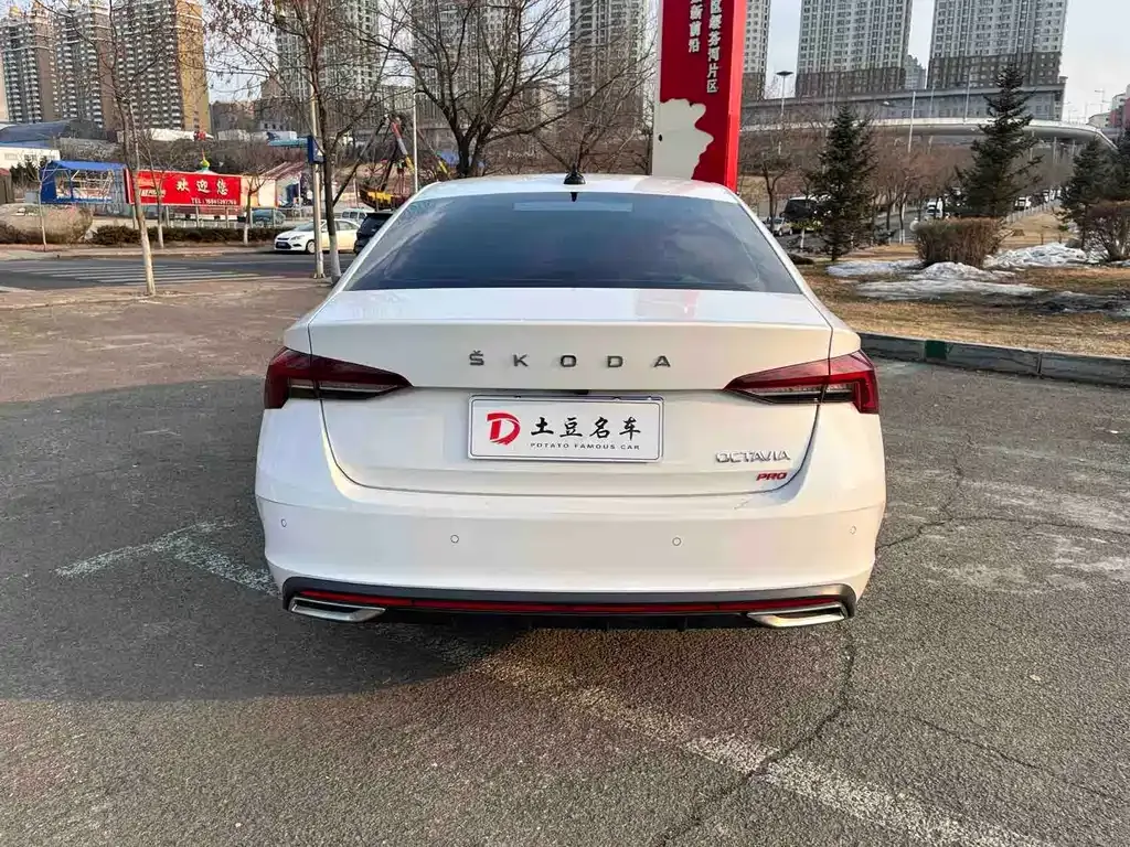 Skoda Octavia 2022 из CN, фото 2