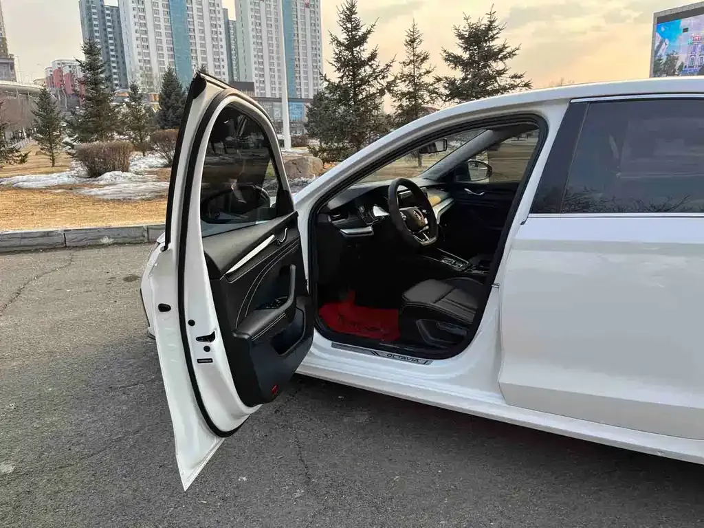 Skoda Octavia 2022 из CN, фото 5