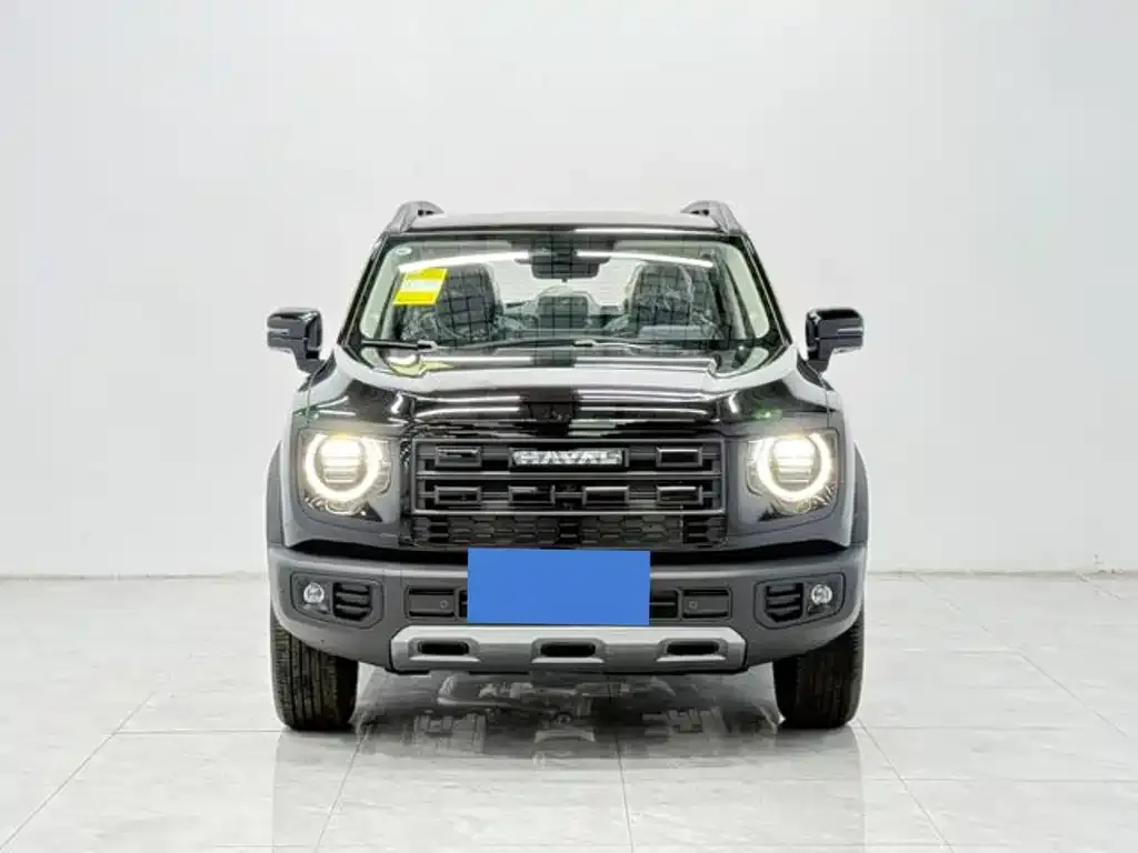 Haval Big Dog — фото 10