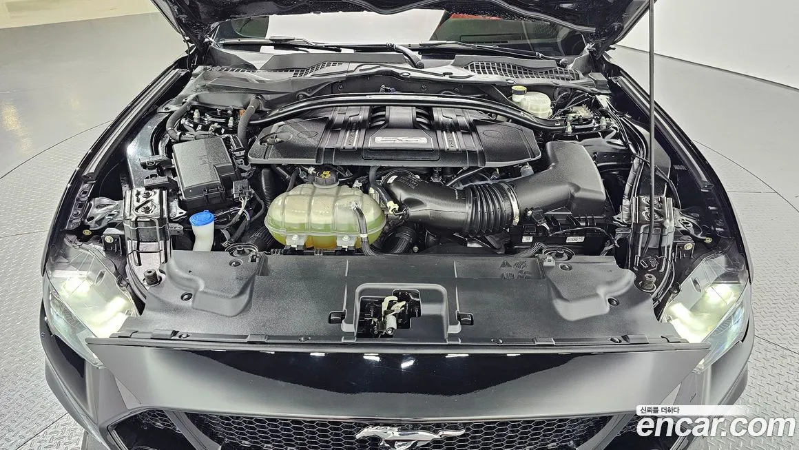 Ford Mustang 2022 из KR, фото 8