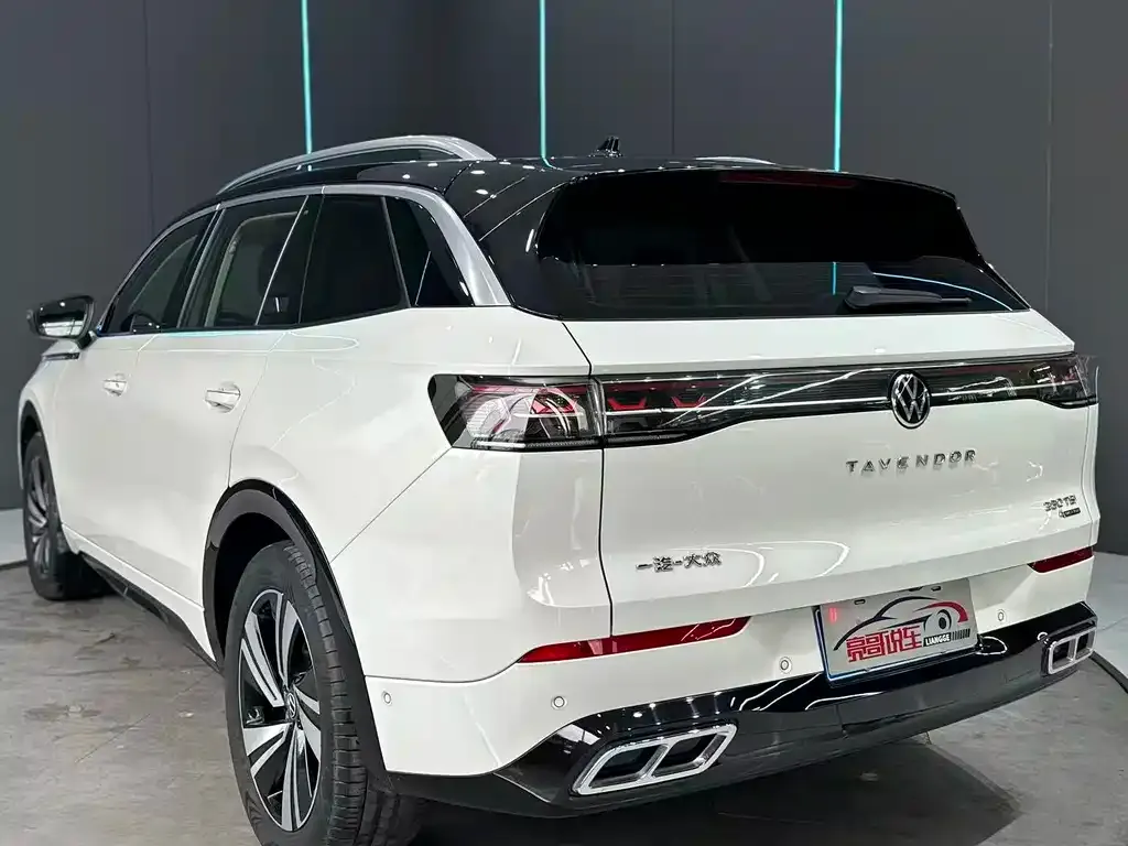 Volkswagen Tavendor 2023 из CN, фото 5