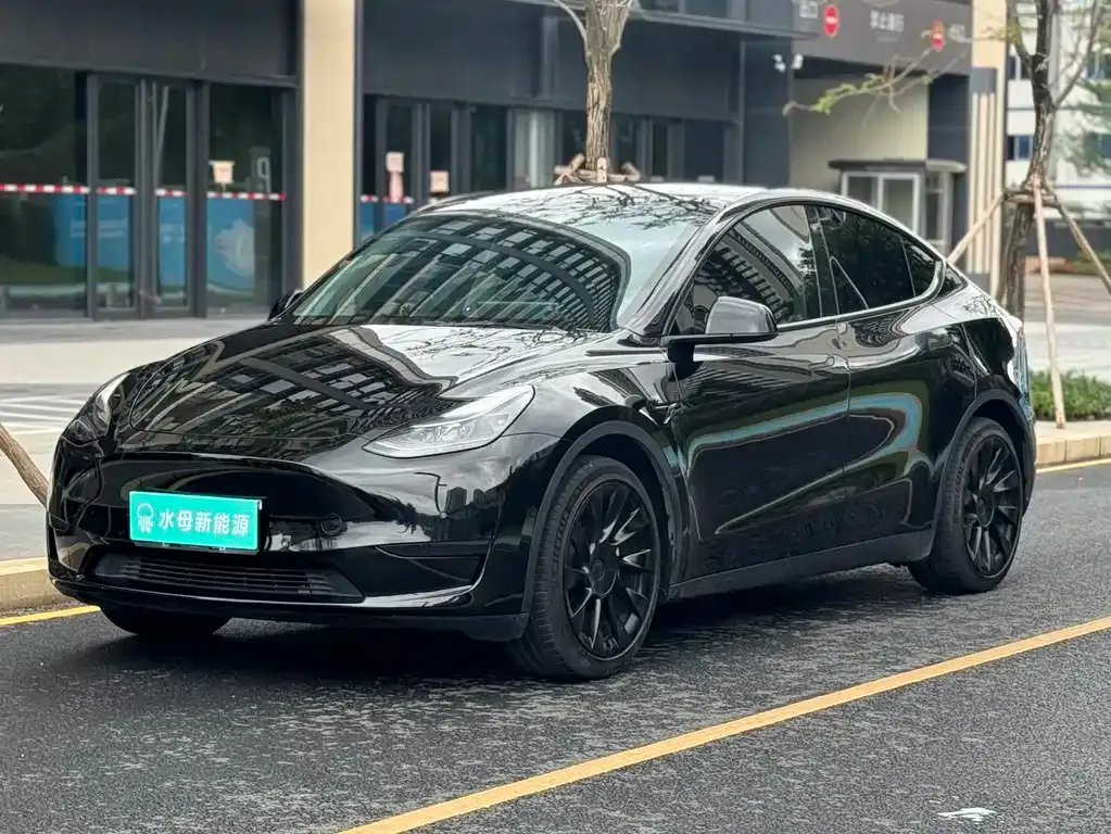 Tesla Model Y — фото 1