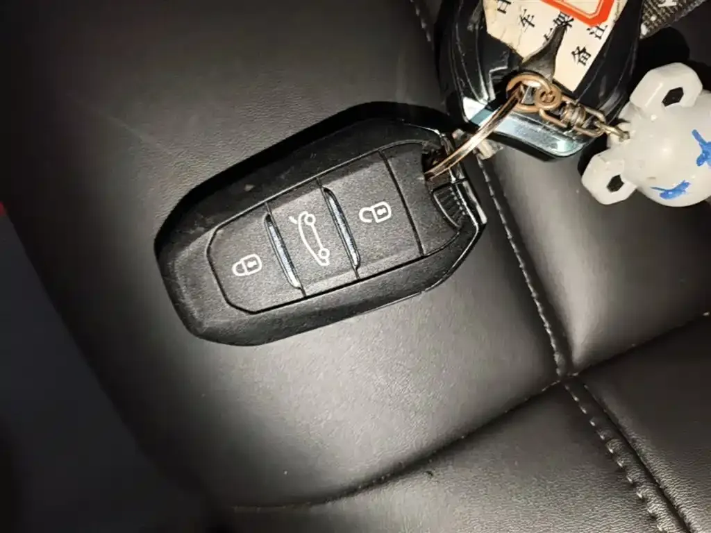 Citroen C5 X 2024 из CN, фото 10