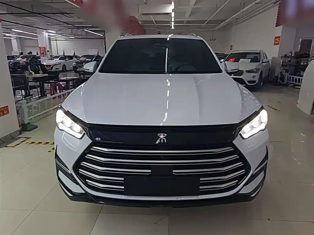 BYD Pro New Energy 2023 из CN, фото 3