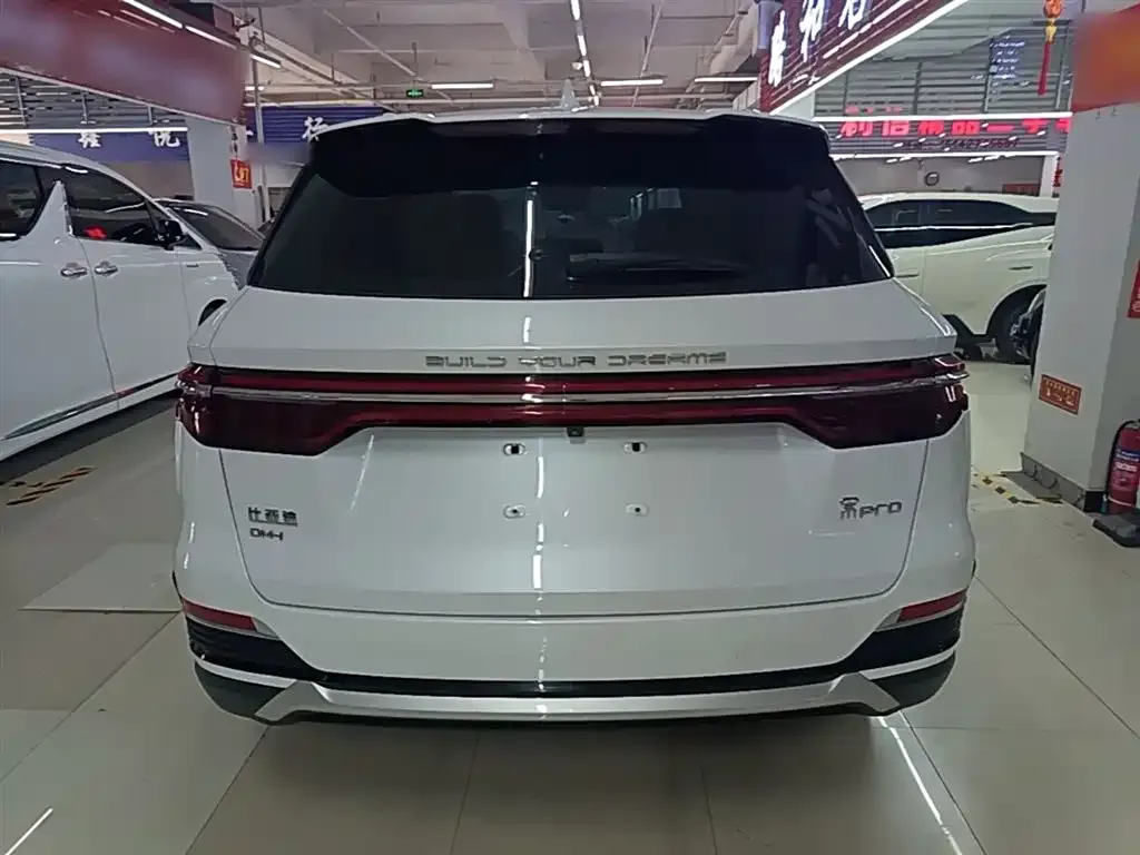 BYD Pro New Energy 2023 из CN, фото 5
