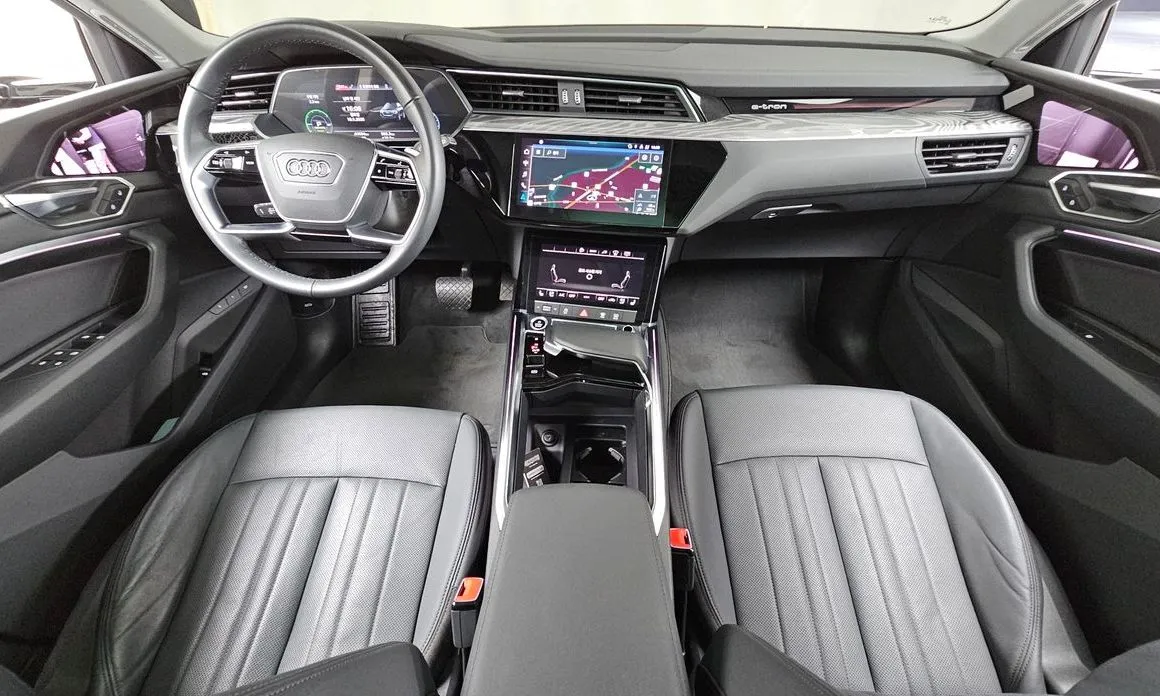 Audi e-tron 2022 из KR, фото 9