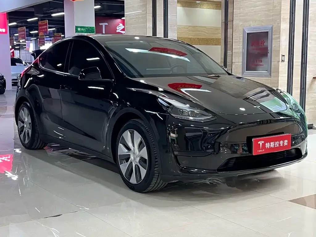 Tesla Model Y — фото 2