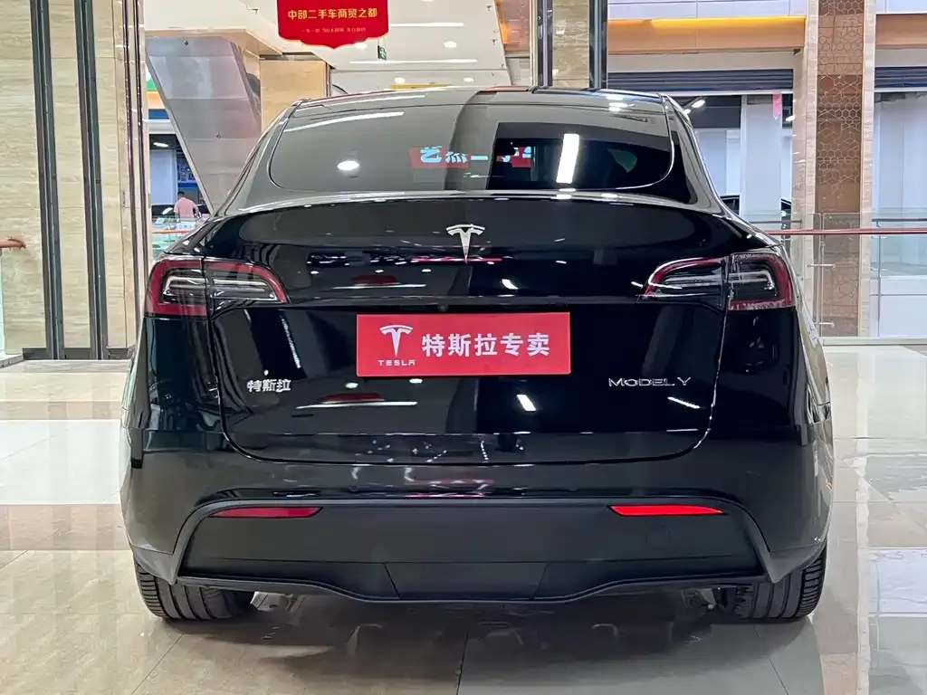 Tesla Model Y — фото 8