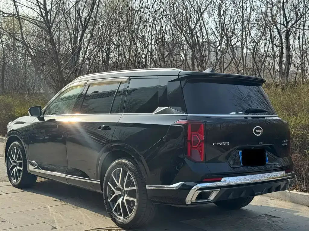 GAC Motor Trumpchi GS8 — фото 6