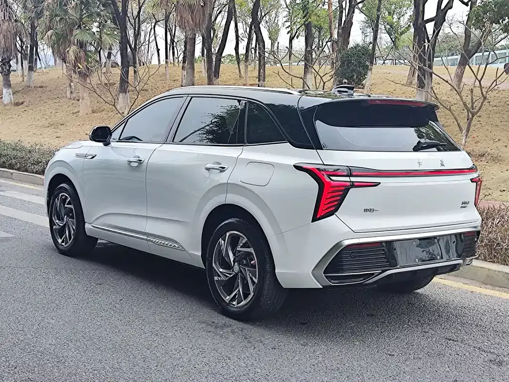 Hongqi HS3 PHEV 2024 из CN, фото 9