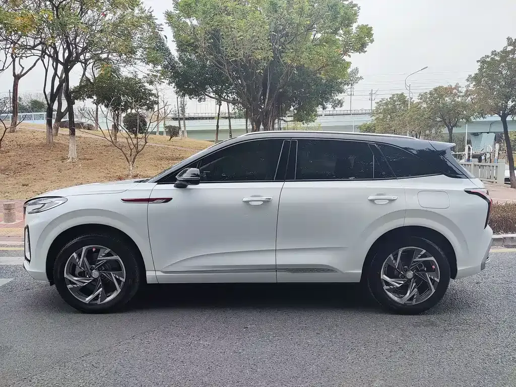Hongqi HS3 PHEV 2024 из CN, фото 8