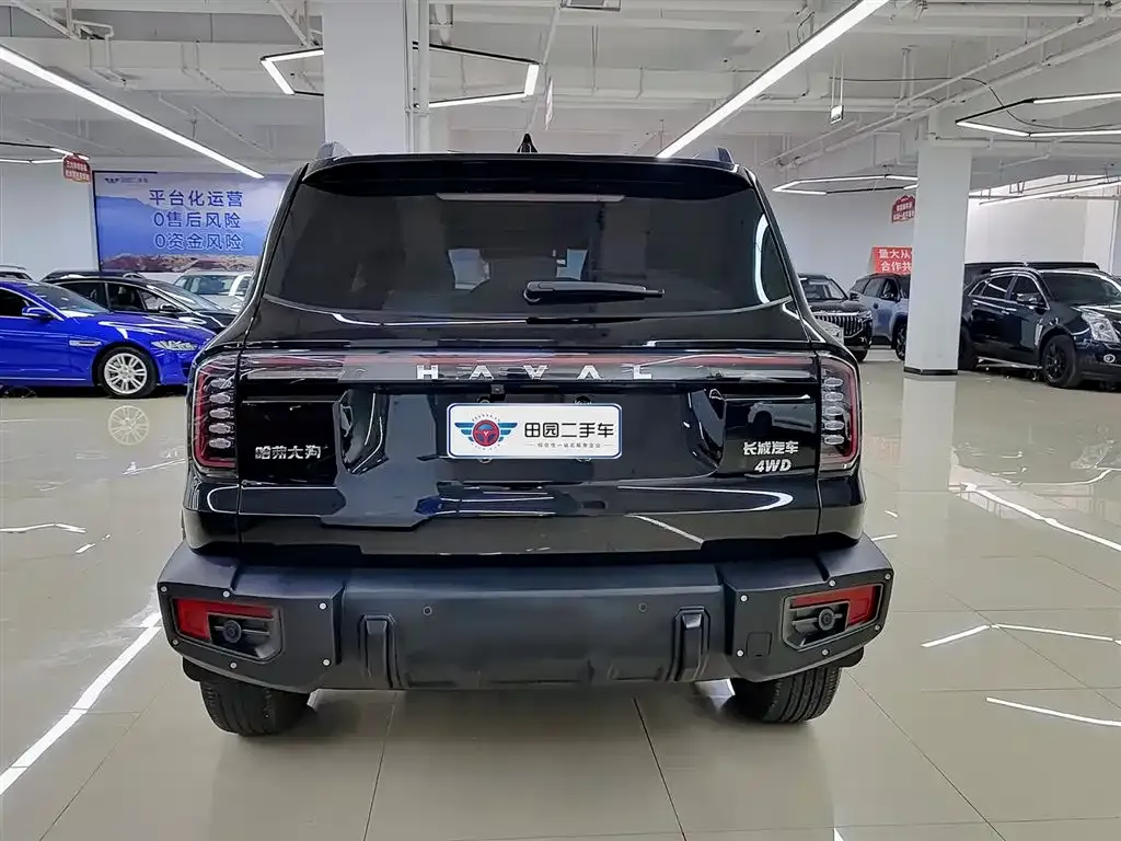 Haval Big Dog — фото 10