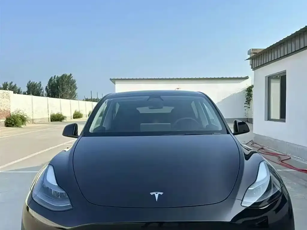 Tesla Model Y — фото 5