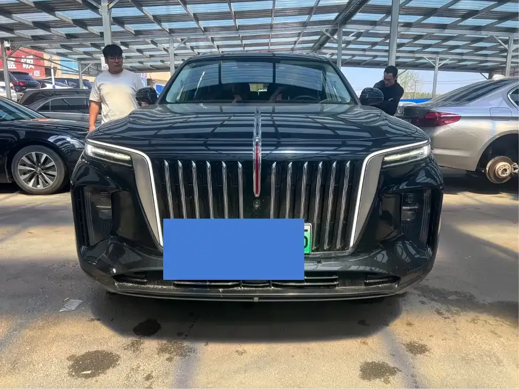 Hongqi E-HS9 2021 из CN, фото 7