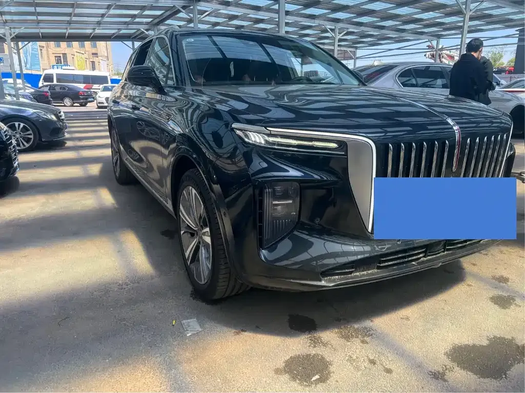 Hongqi E-HS9 2021 из CN, фото 8