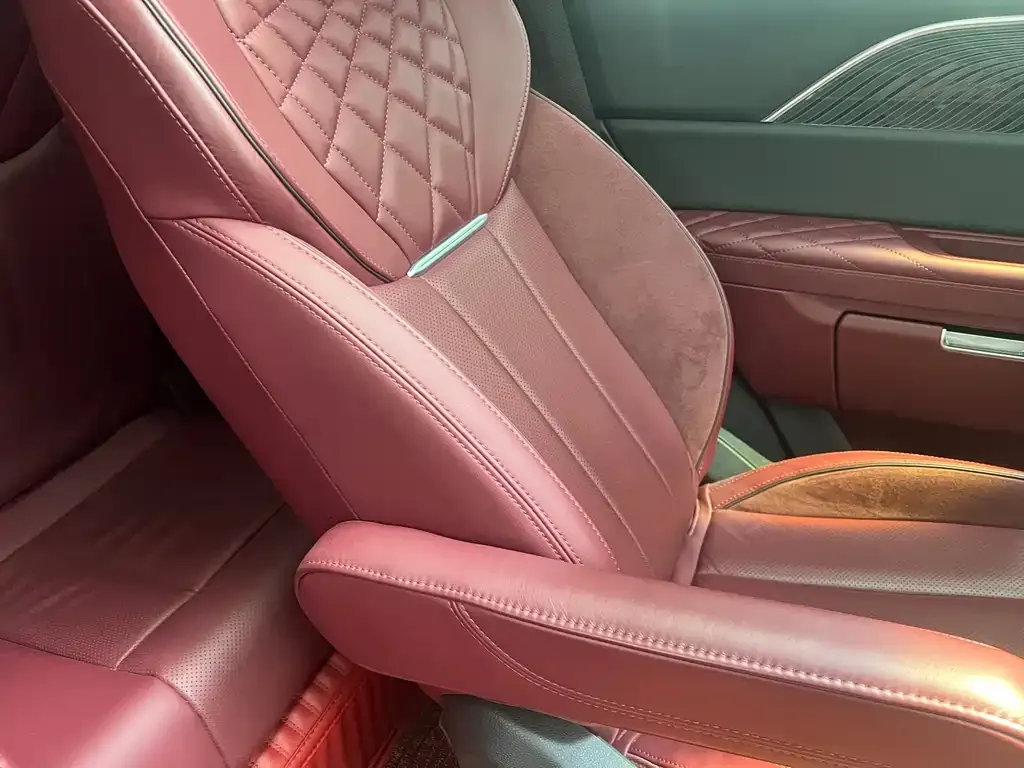 Hongqi E-HS9 2021 из CN, фото 5
