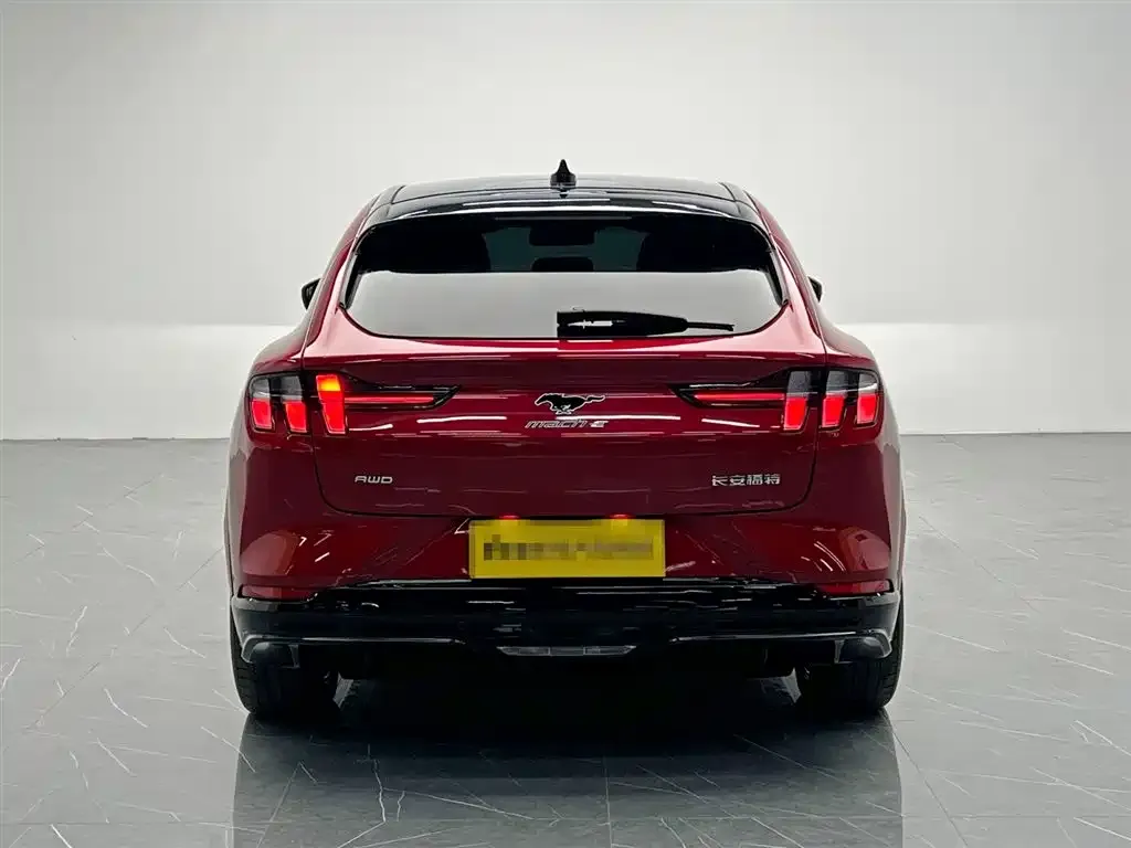 Ford Mustang Mach-E 2024 из CN, фото 2