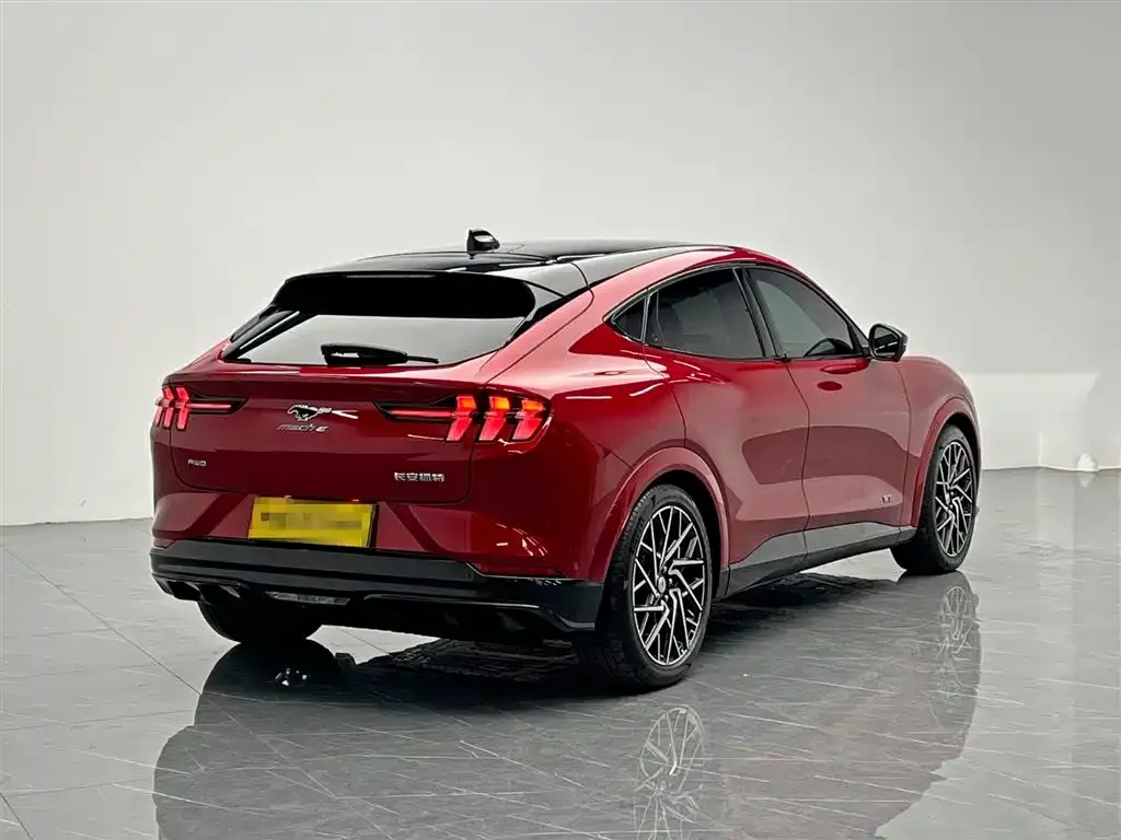 Ford Mustang Mach-E 2024 из CN, фото 7