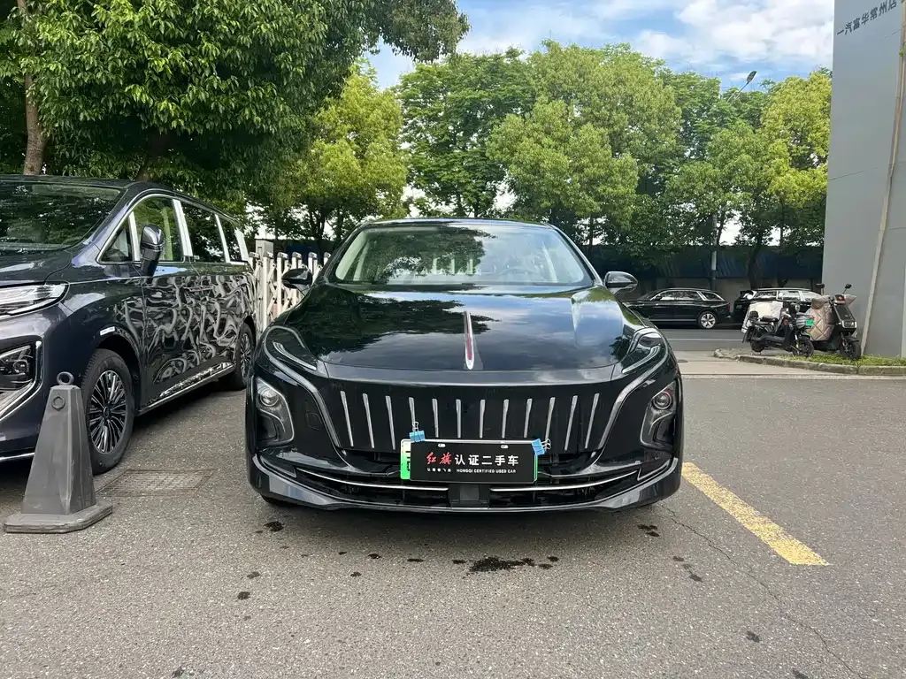 Hongqi E-QM5 — фото 7