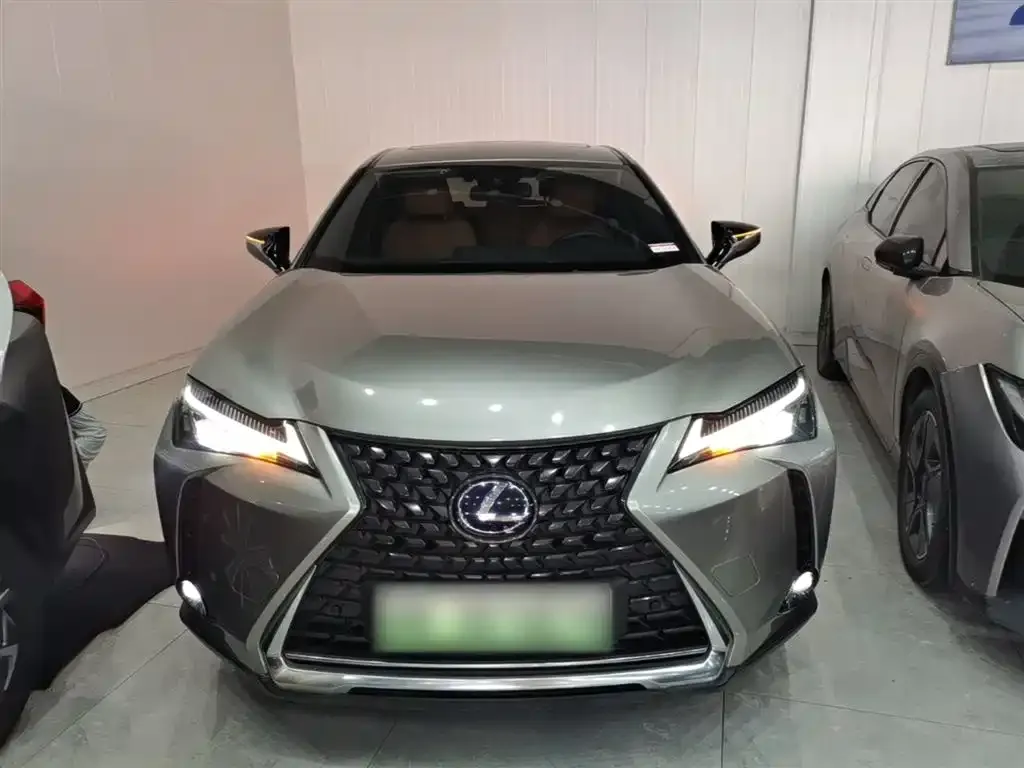 Lexus UX New Energy — фото 9